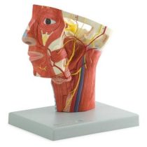 0ec494a512ef5aaf482120db7ef763c1