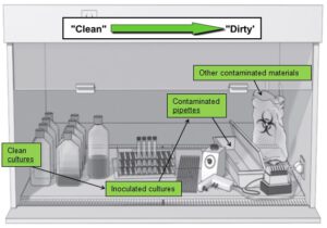 bscmaterialplacement