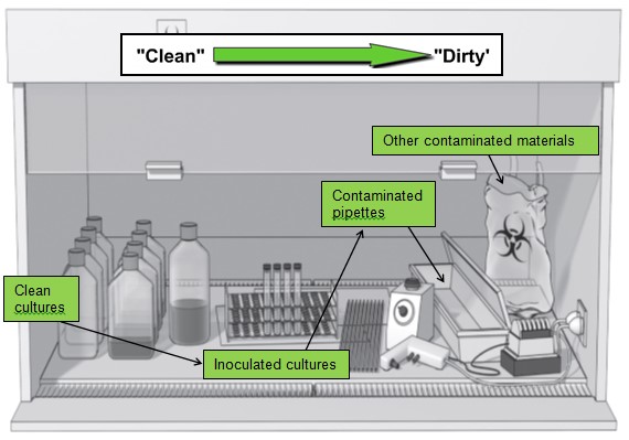 bscmaterialplacement
