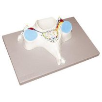 e97802c73b477d77cb87baa61c86e5e9