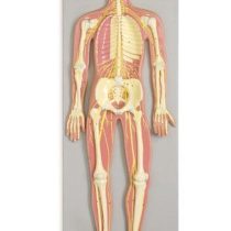 eaa41c6fac360848a3c6c4355752af5e