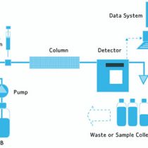 lw lc overview image1 460x297 1