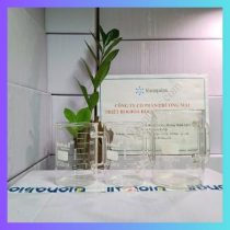 Cốc thủy tinh có quai 250ml/500ml. Biohall Germany/Đức