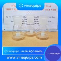 Bình tam giác thủy tinh 100ml cổ nhám 29/32 - Biohall/Đức