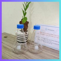 Bình tam giác nắp vặn xanh 1000ml, Hãng Biohall Germany/ Đức