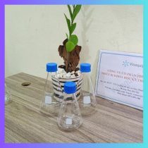 Bình tam giác nắp vặn xanh 500ml, hãng Biohall Germany/ Đức